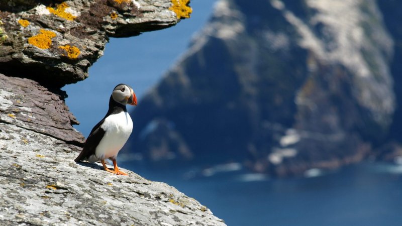 Skellig michael KILLARNECMS02